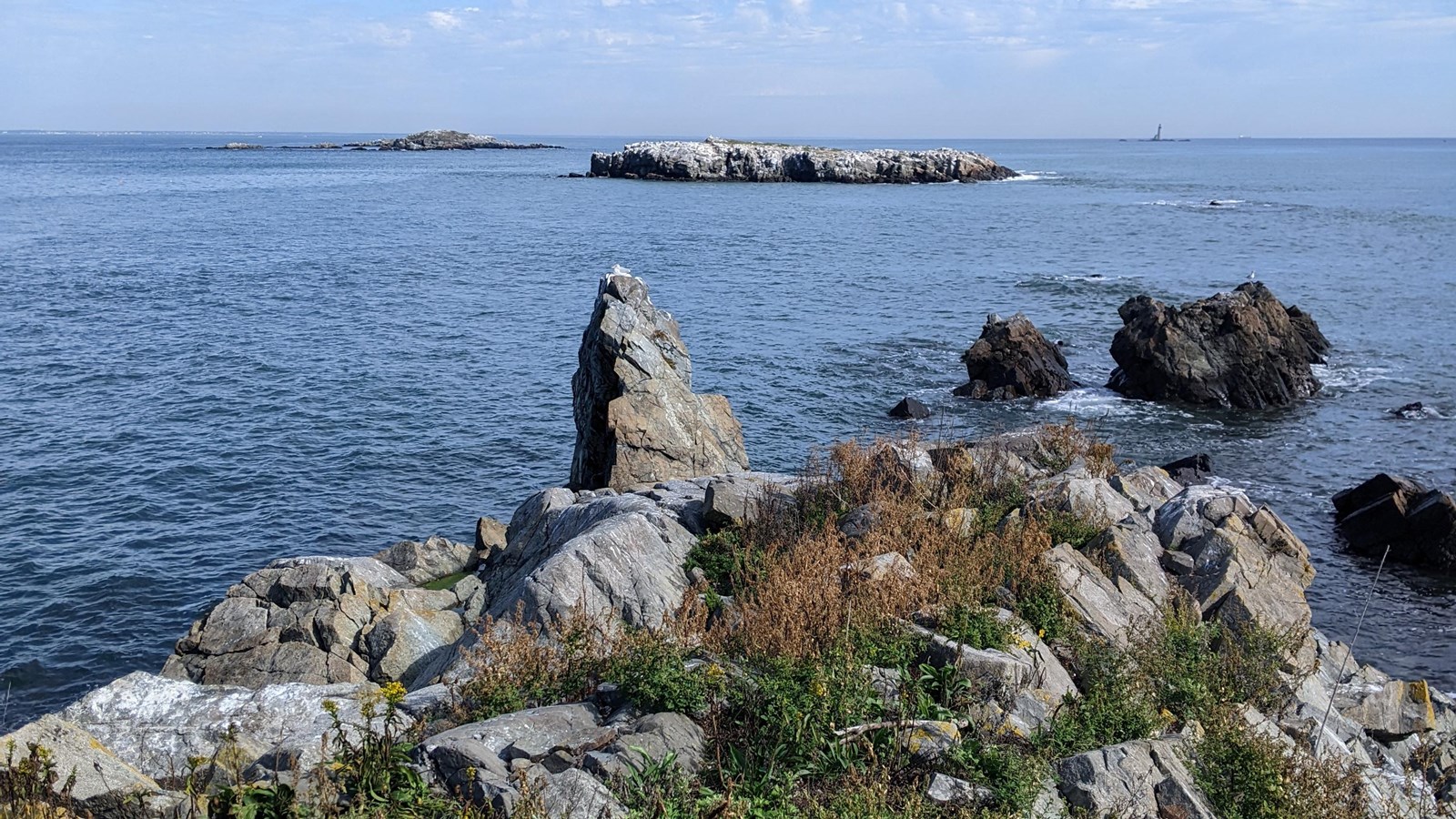 View of rocky Little Calf Island, from another island in the harbor. 