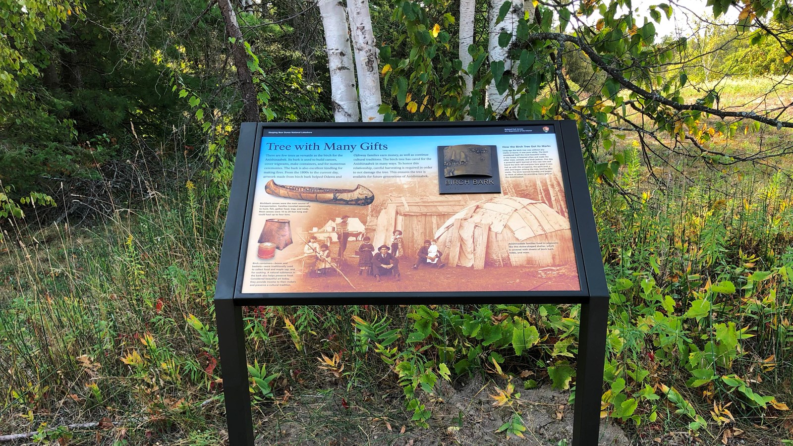 An informational sign with a bronze tactile of birch bark stands on the side of a dirt path