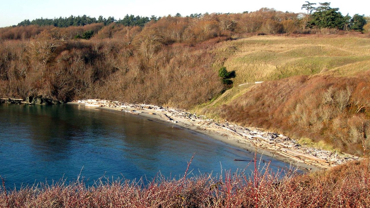 Grandma\'s Cove at American Camp