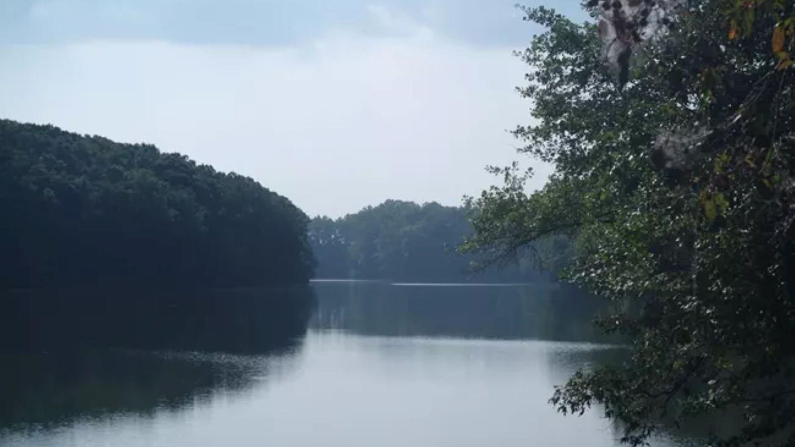 A lake surrounded by trees.