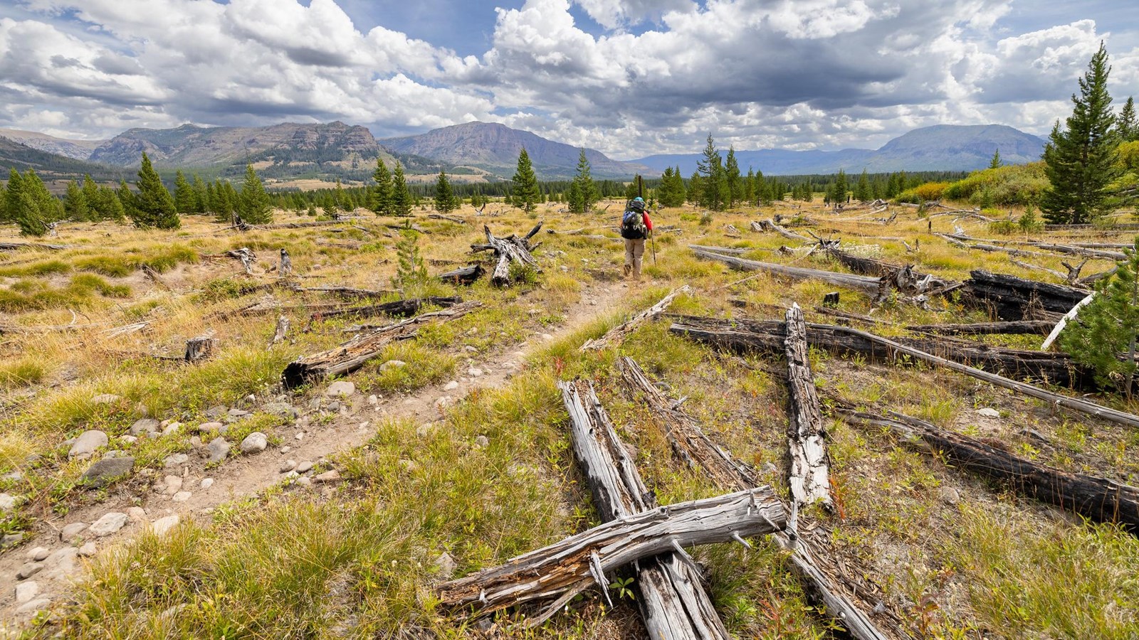A backpacker walks along a trail through an old fire scar with mountains in the distance.