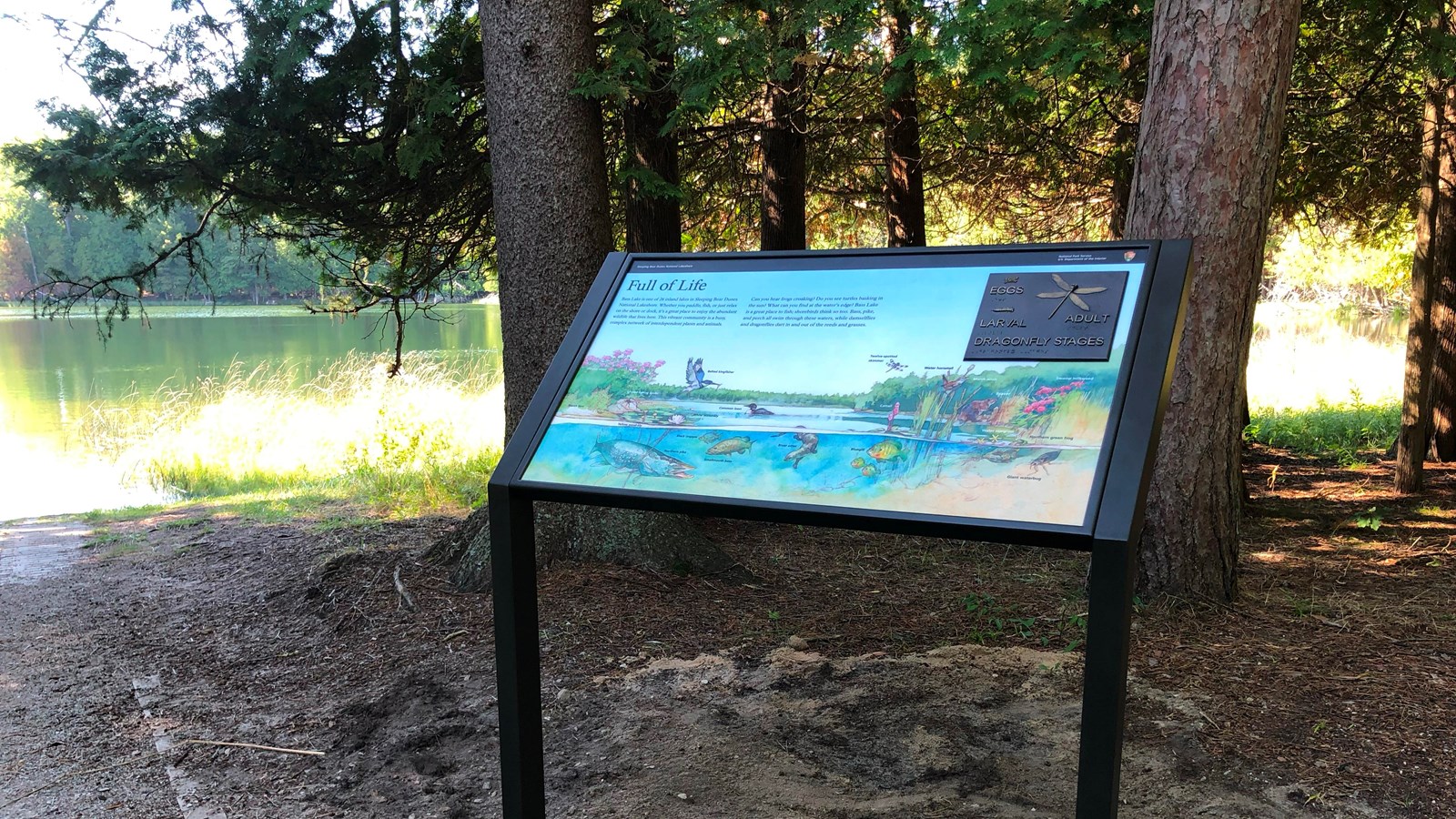 An informational sign stands along a gravel path underneath shady trees by a small lake