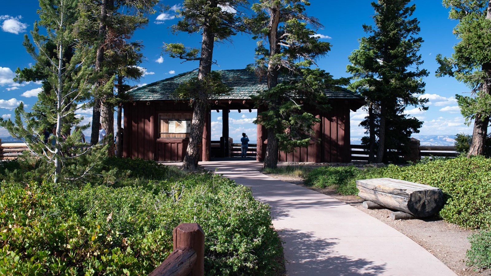A forested, shrubby area surrounds a wooden structure in which a woman stands