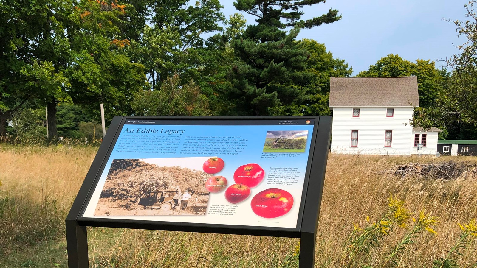 An informational sign about apples stands in a grassy field in front of a two-story white farmhouse