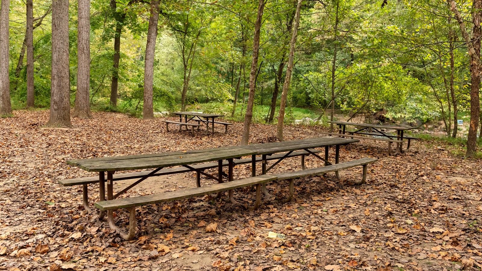 Four picnic benches in the woods.