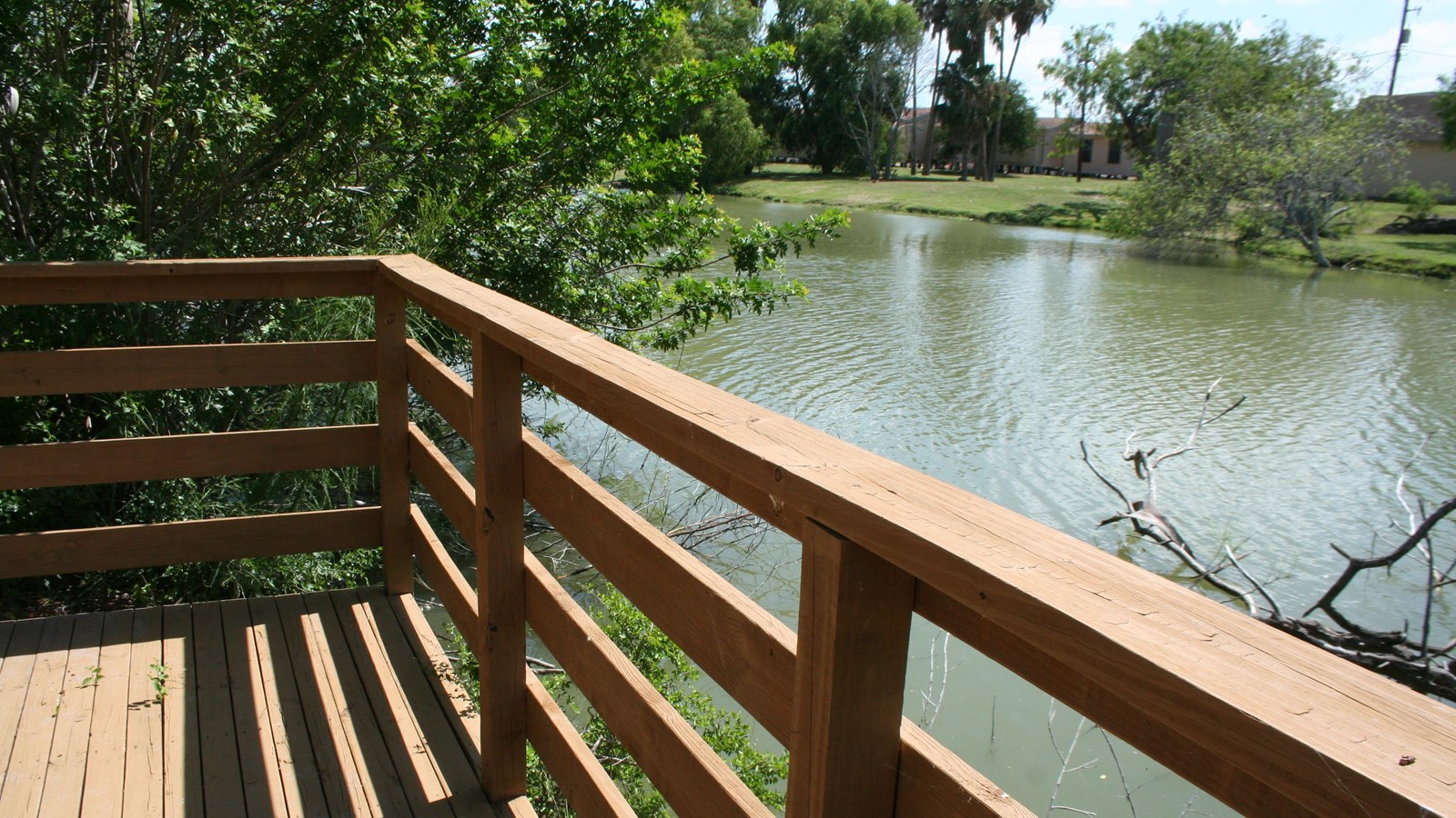 Wooden deck overlooking a full resaca.