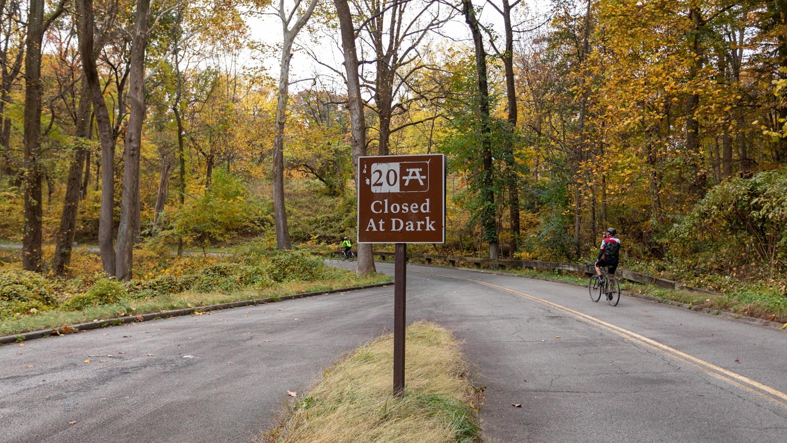 A road surrounded by trees changing from green to yellow