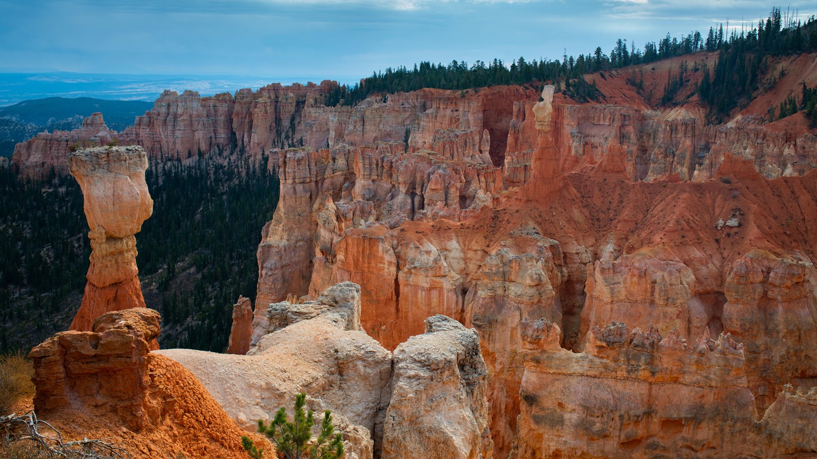 Glowing limestone red rocks stand in a forested bowl at the edge of a high plateau