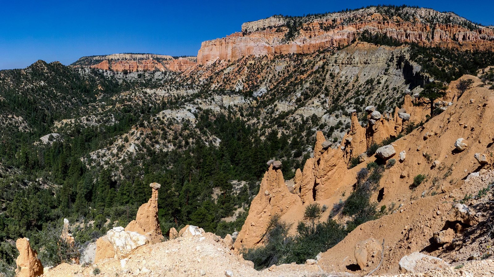 A forested depression surrounded by bright orange and pink limestone cliffs and rock spires