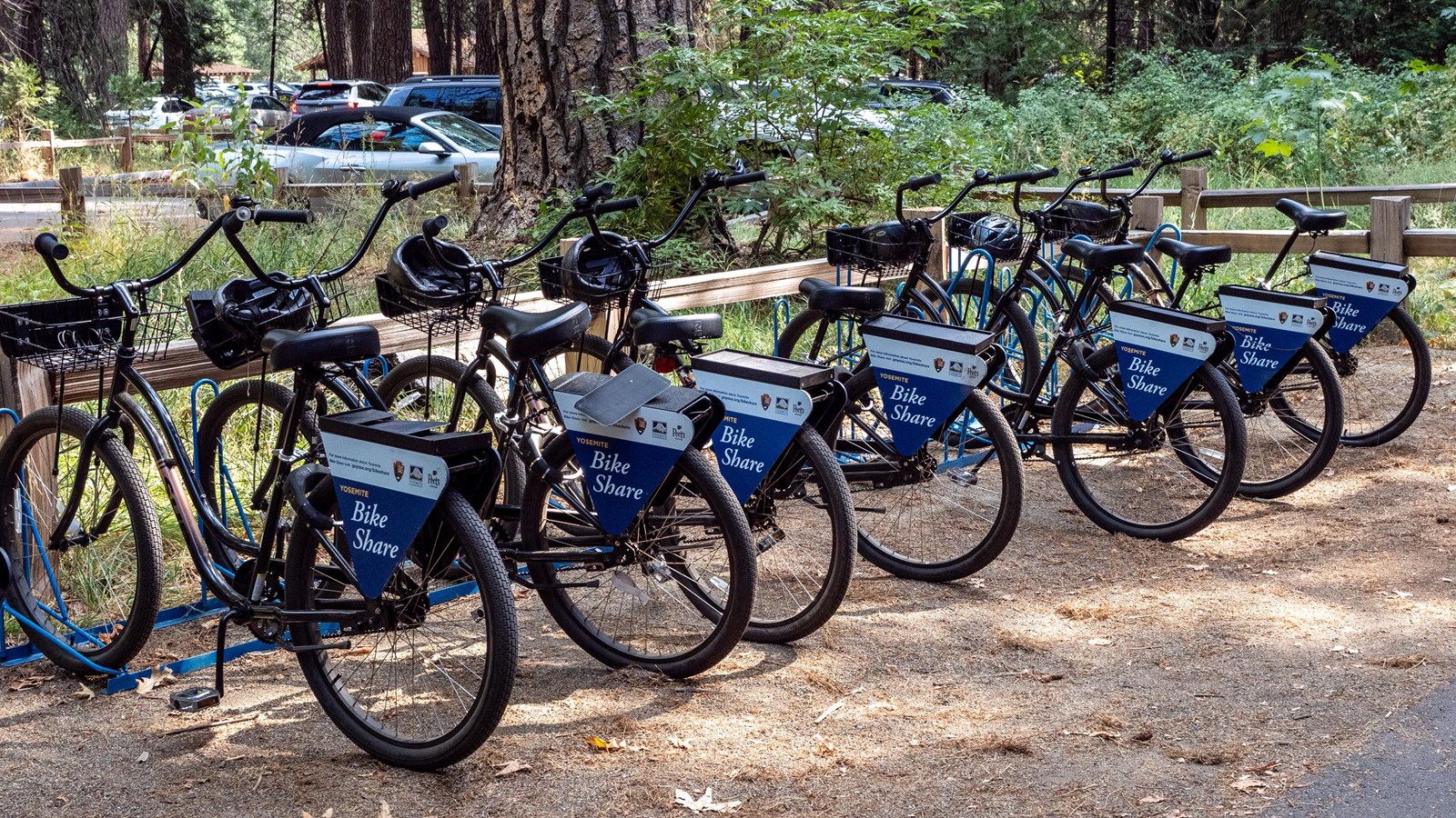 A row of cruiser-style bikes on a bike rack