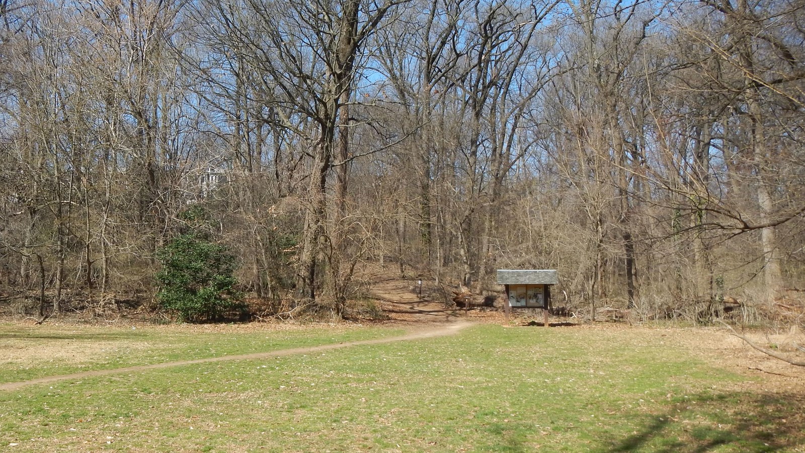 A grassy covered open space surrounded by trees. A bulletin board sits near a trail.