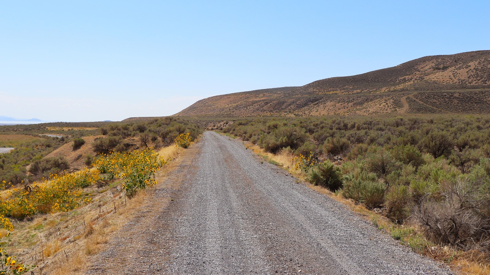 Gravel road through green, yellow and brown sagebrush landscapes.