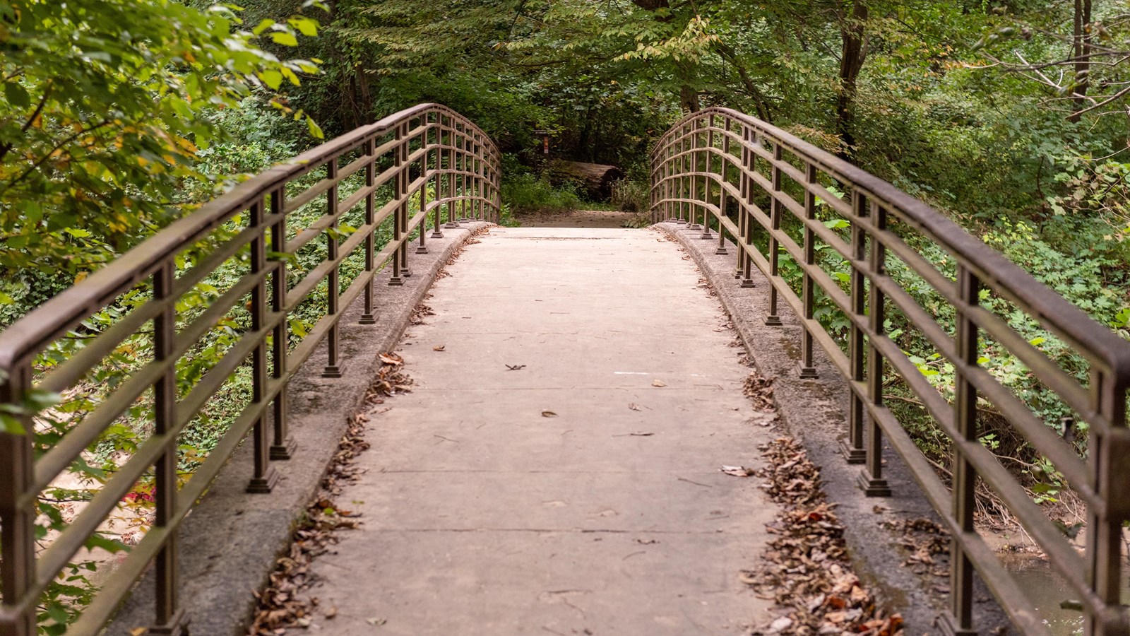 A bridge over a rocky river