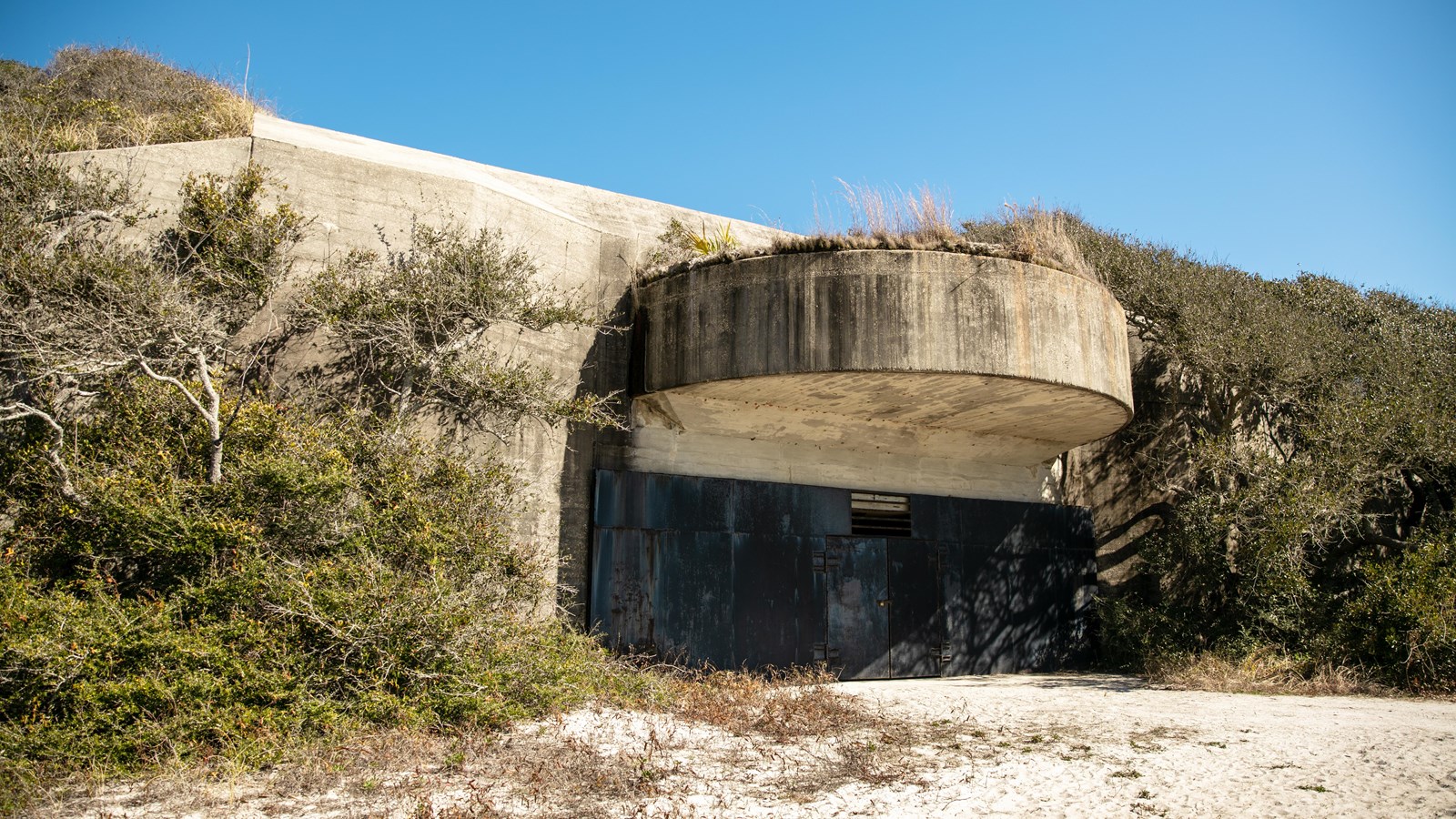 A concrete battery with large black doors stands beneath vegetation.