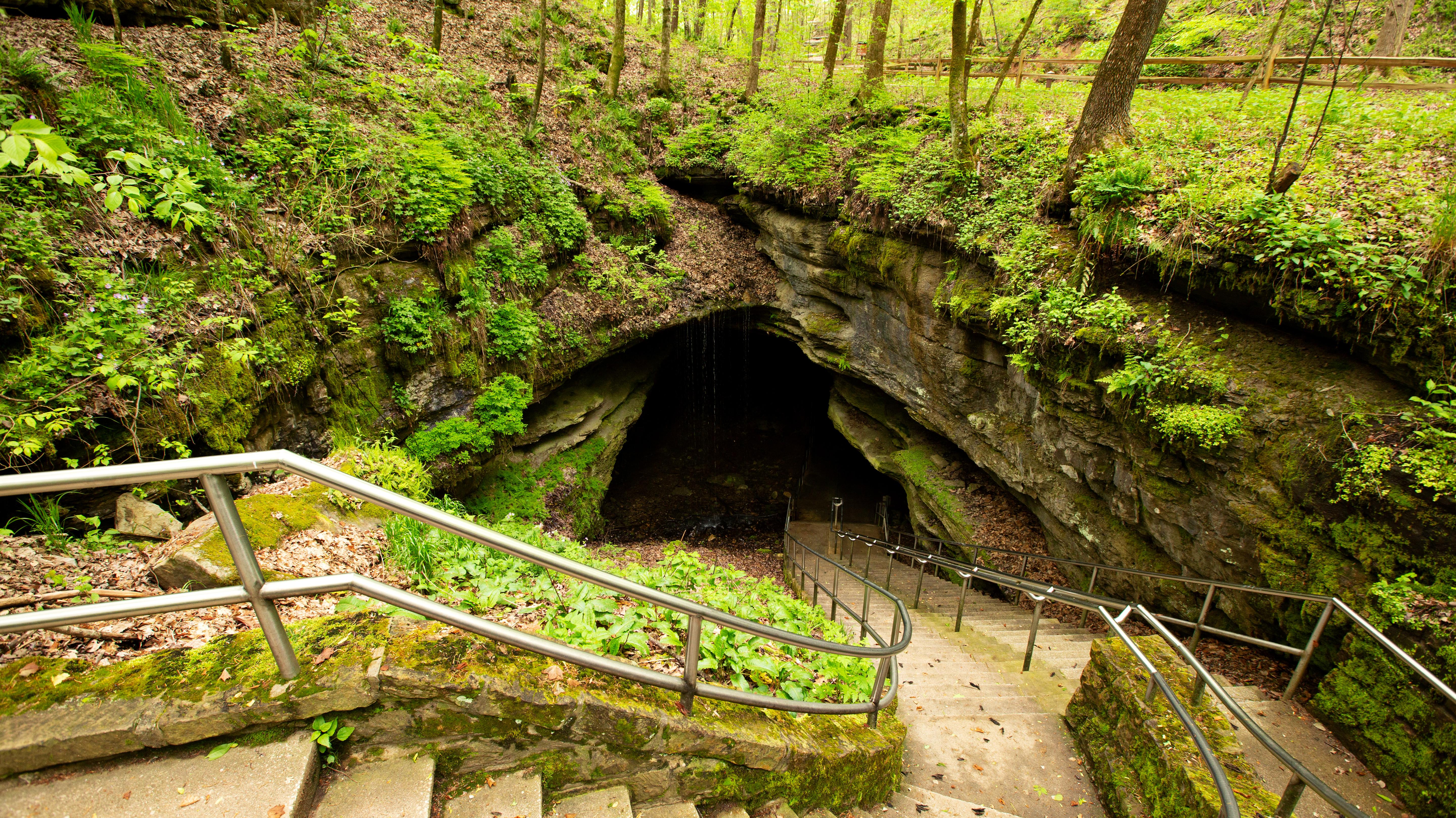 Mammoth Cave Historic Entrance U S National Park Service   548B411E AFC0 A309 265E19C32D8FD499 