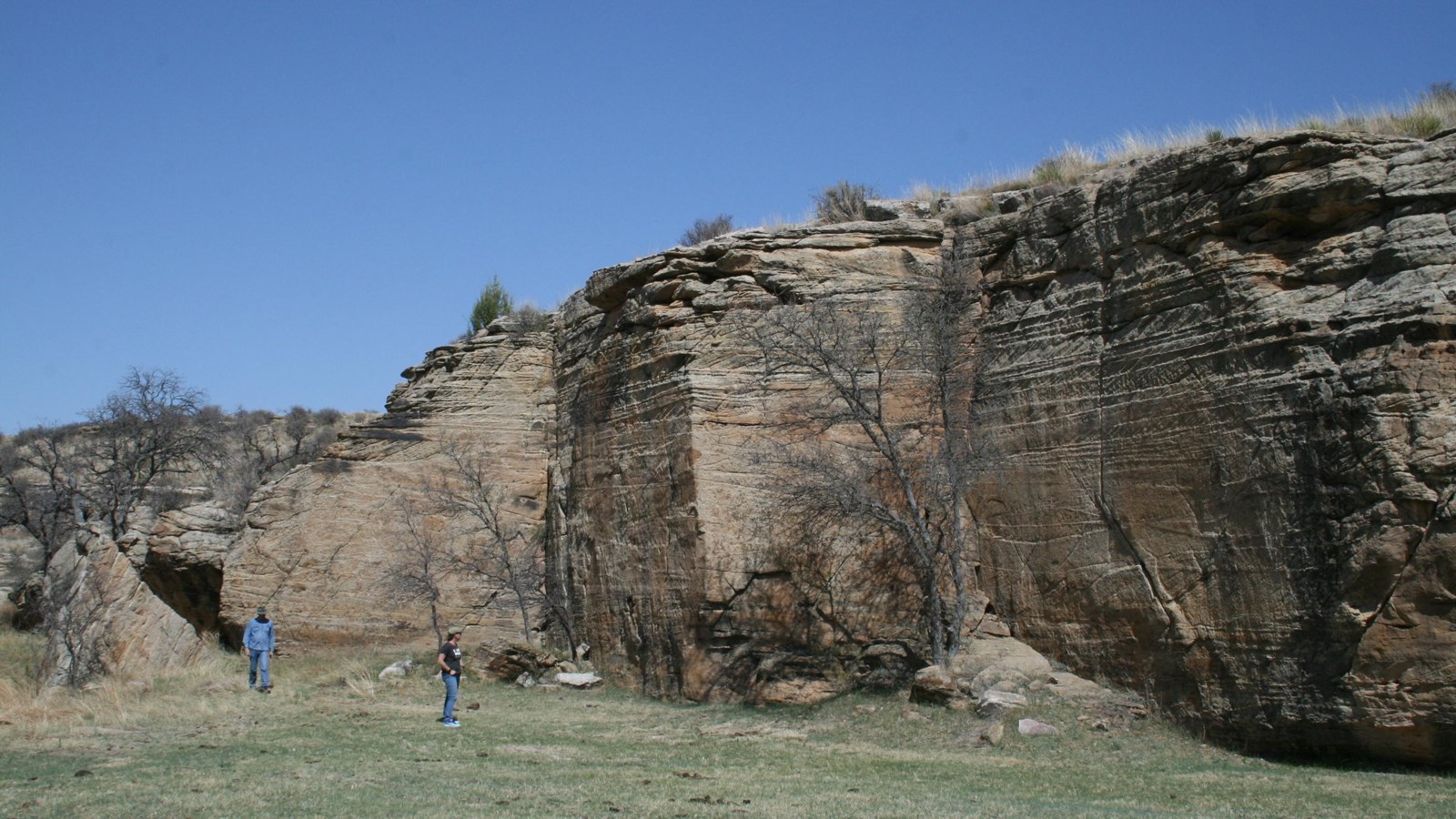 A sandstone cliff in a grassy field