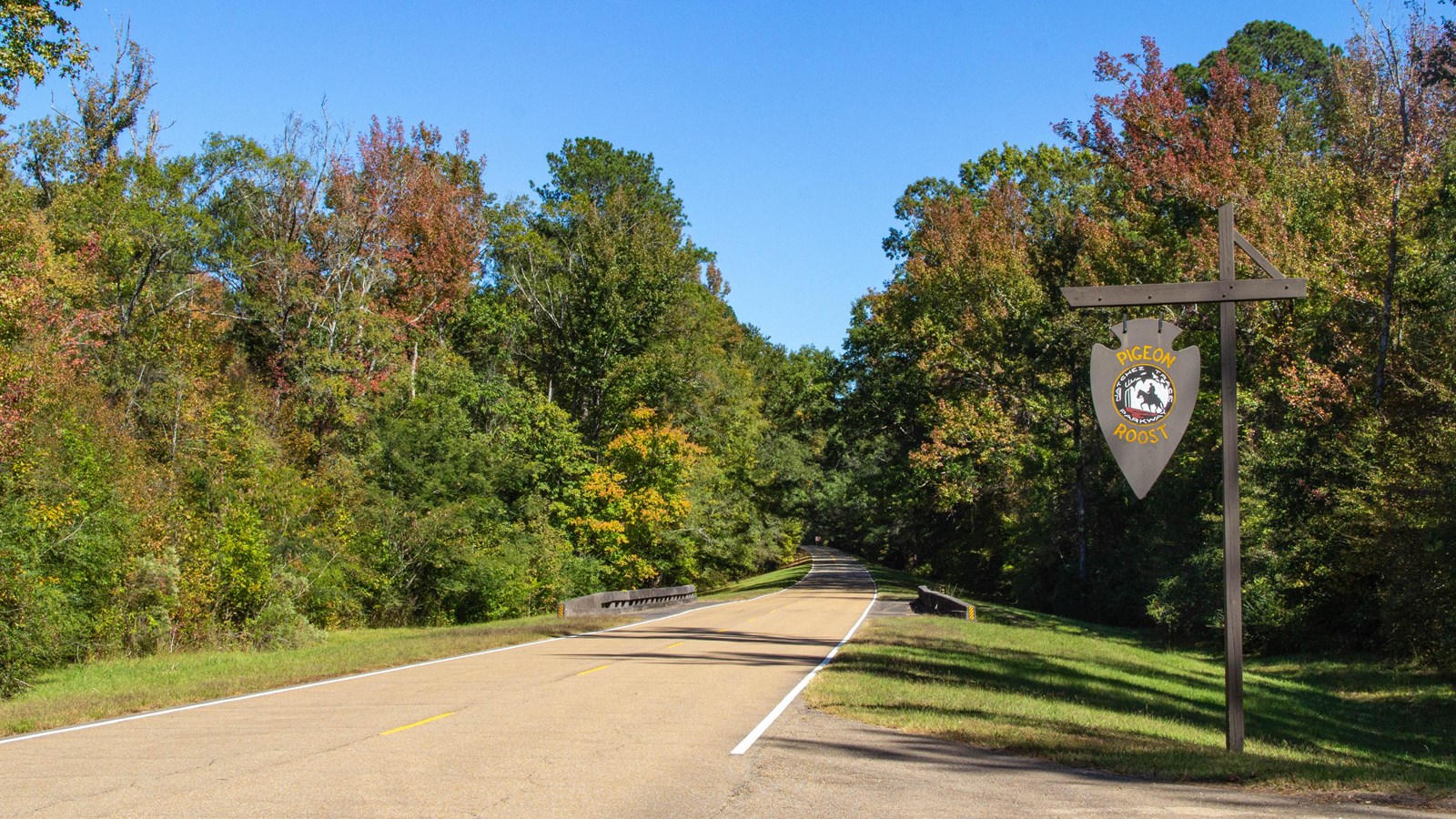 A roadway lined with trees. The leaves are changing color. A 