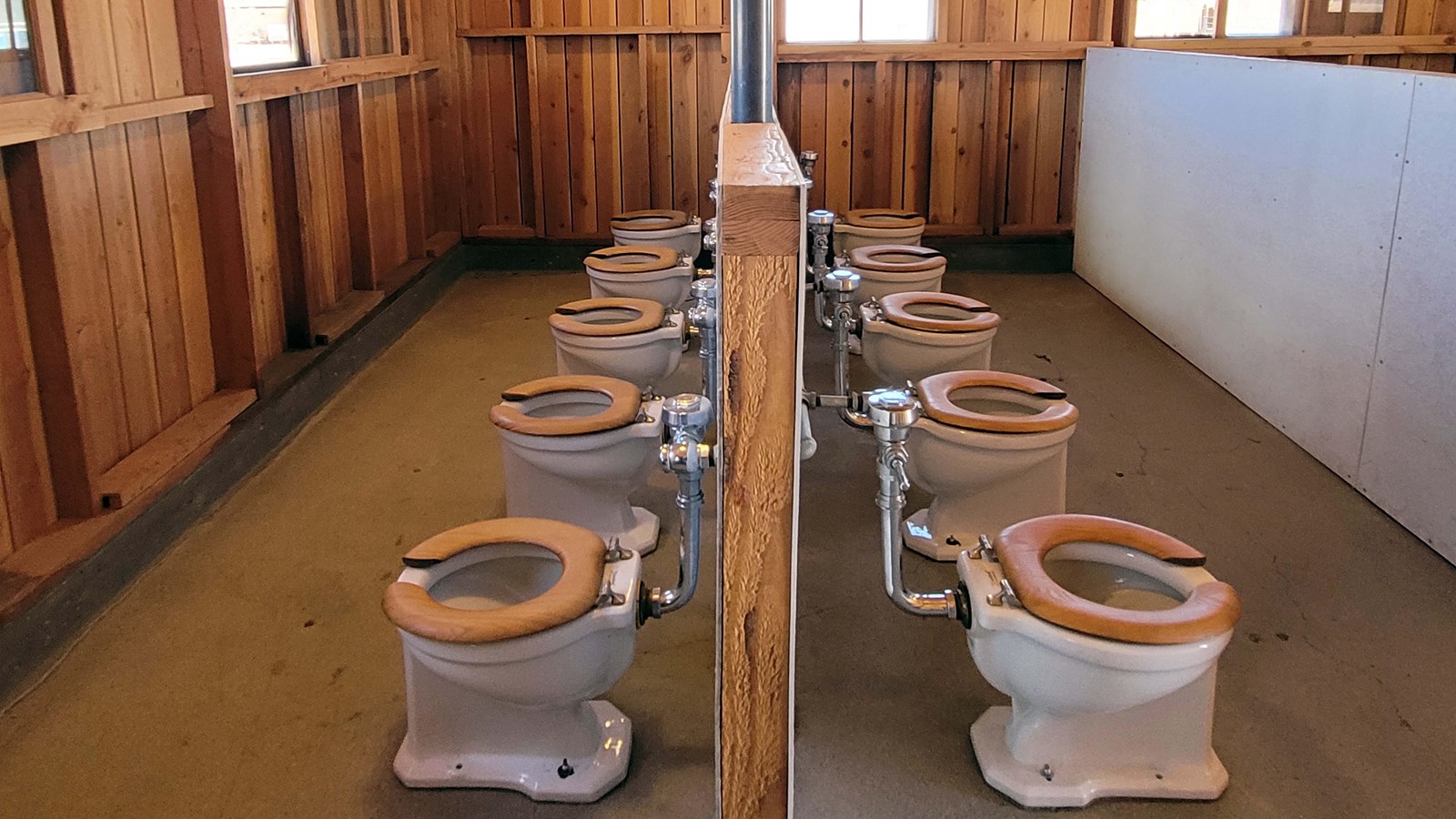 toilets with wooden seats are lined up back to back