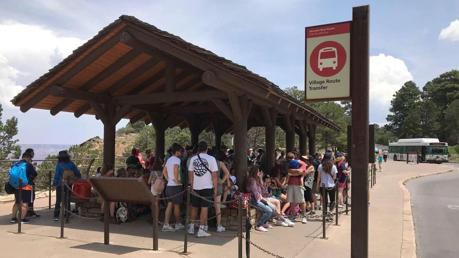 A long line of people wait under a peaked shade structure at a bus stop marked by a red sign.