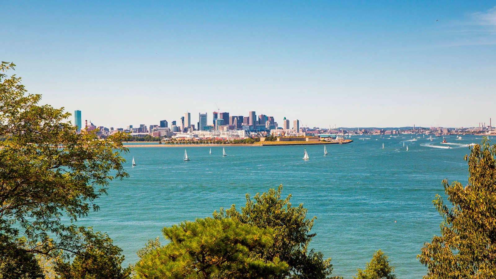 beyond some green trees is Boston Harbor, filled with sailboats on a clear day.