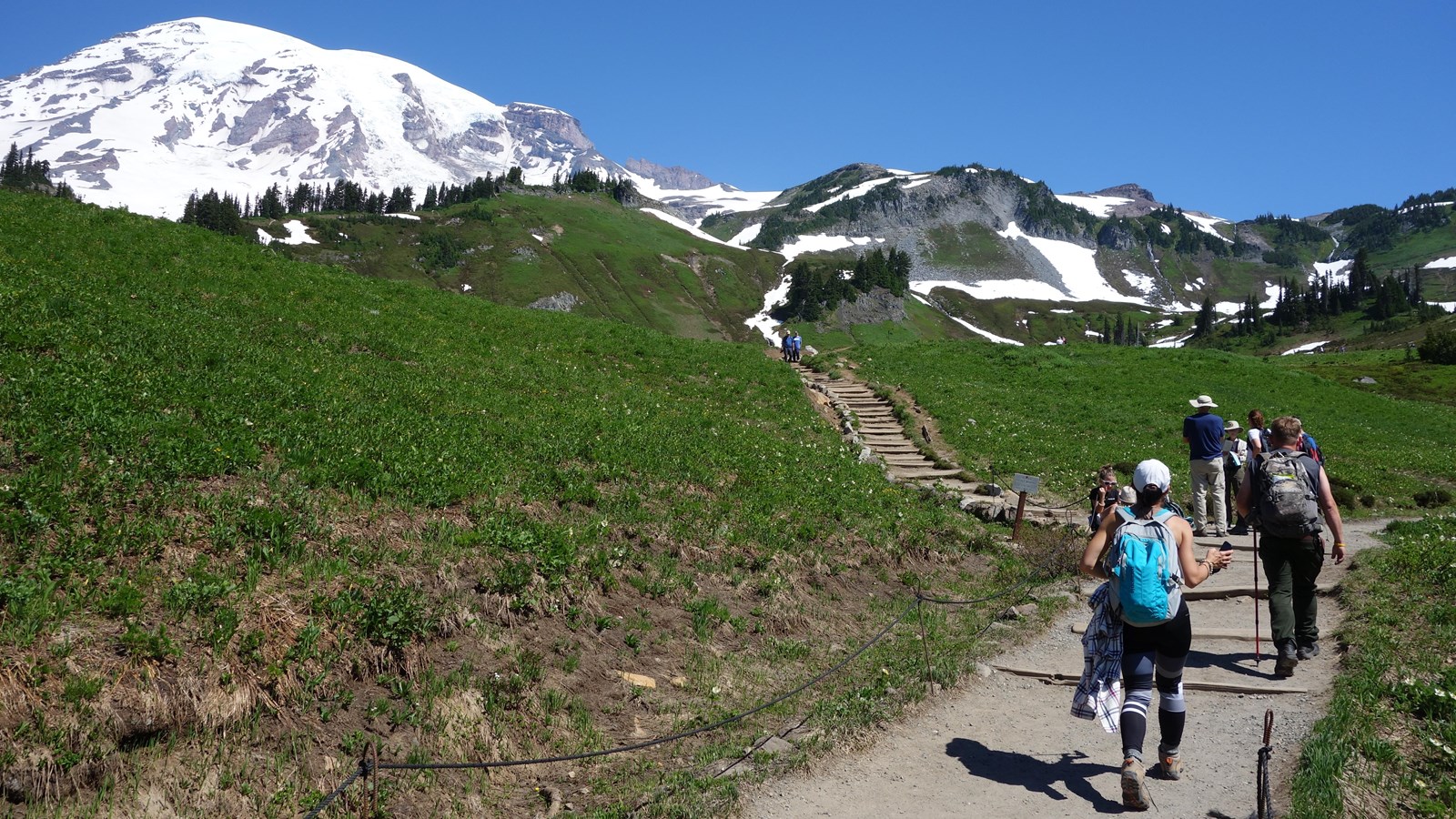 A trail with log steps climbs up through a meadow towards a glaciated peak.  