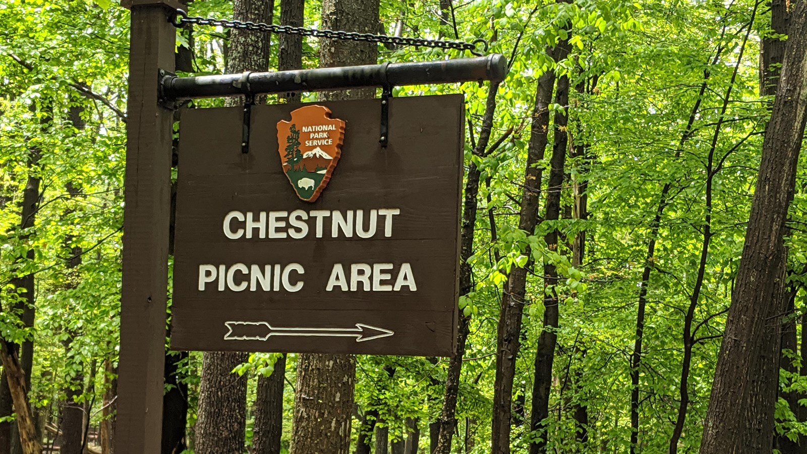 A forested picnic area wooden sign with the National Park Service logo.