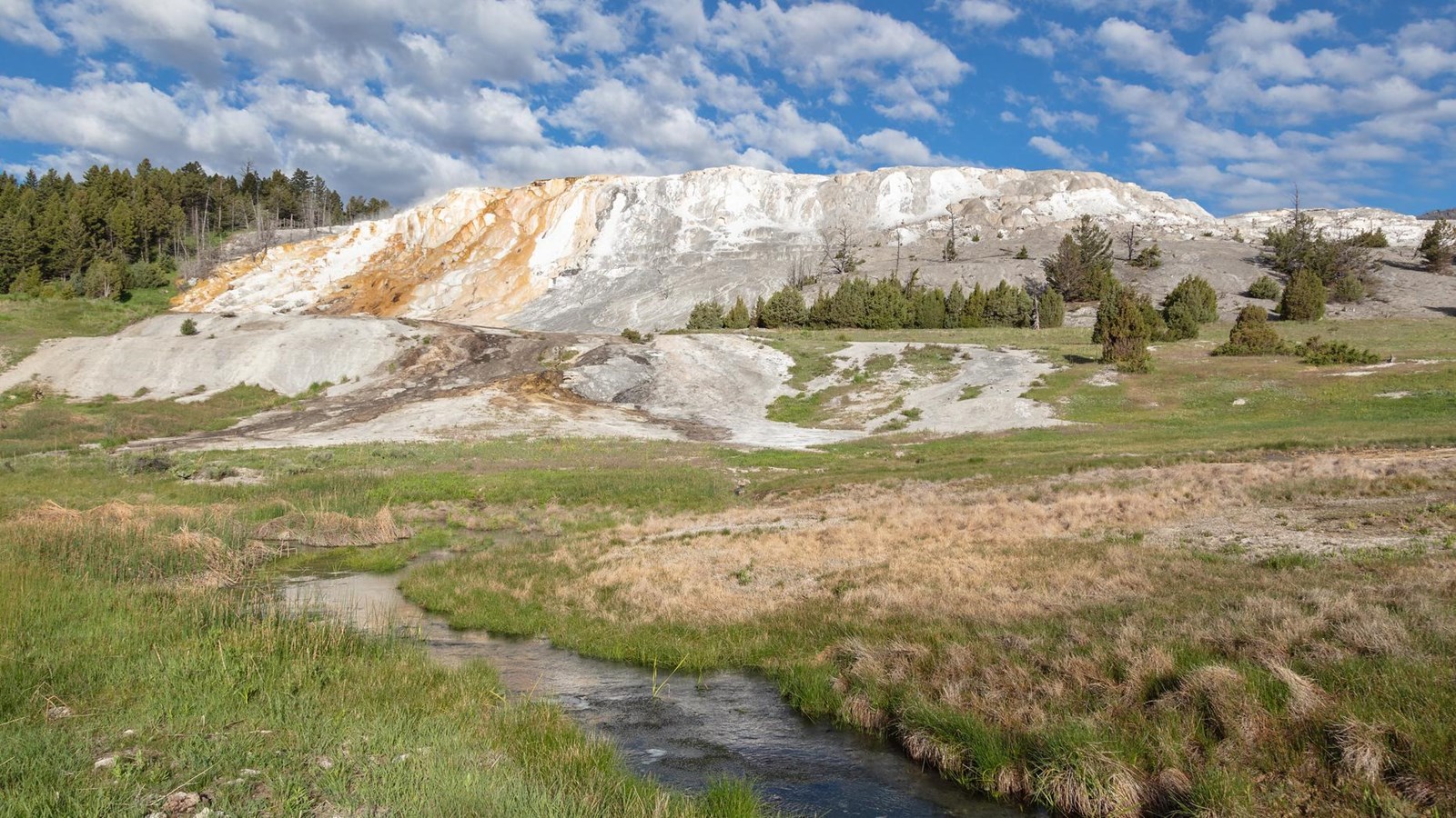 Water runs down a travertine terrace formation, forming a runoff channel in a meadow.