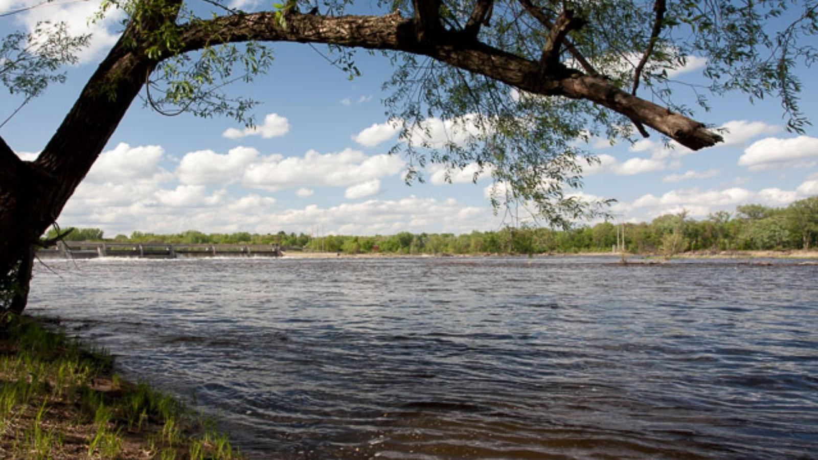 A summer day looking over Mississippi River. 