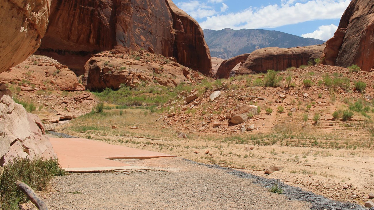 Paved trail in sandstone canyon