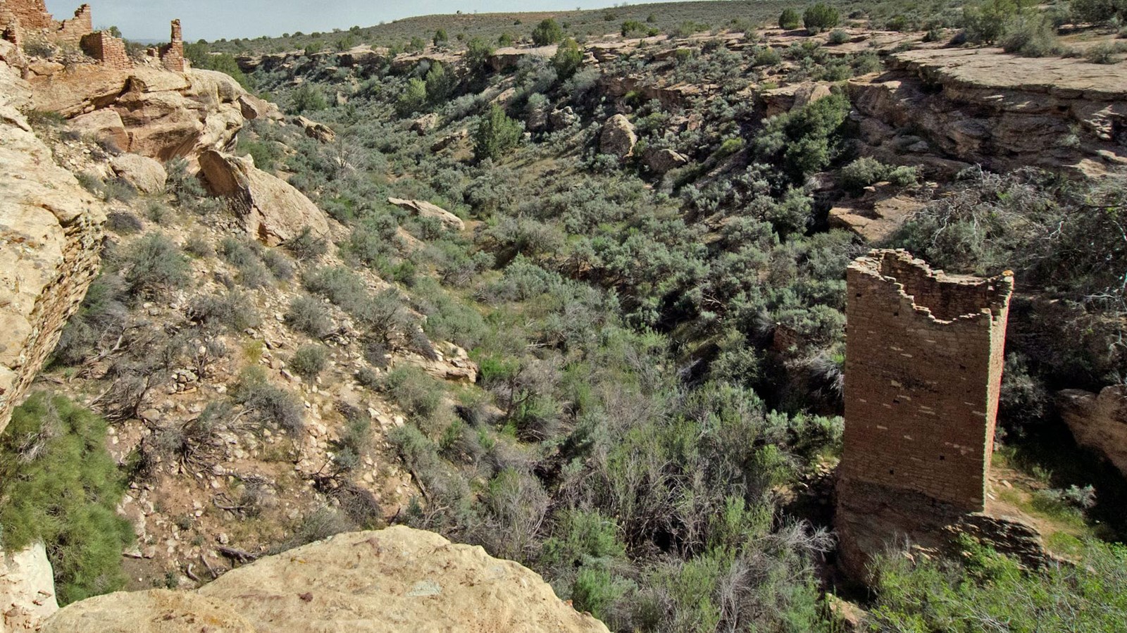 A tall, thin stone tower rises from the canyon floor.