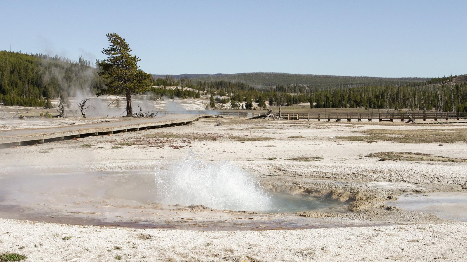 Water splashes out of a hot spring in a geyser basin.