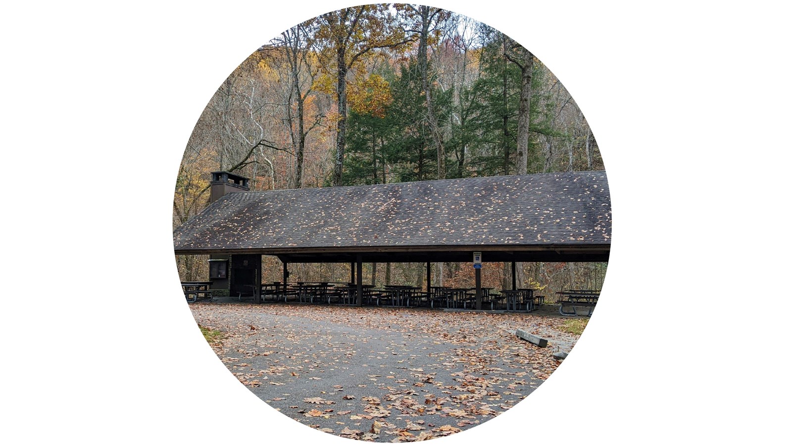 A large pavilion with fallen leaves on the roof and multiple rows of picnic tables underneath.