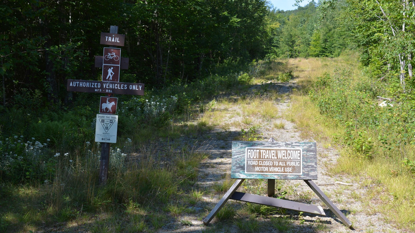 Rocky Pond Road Trailhead Katahdin Loop Road Mile 5.75 (U.S