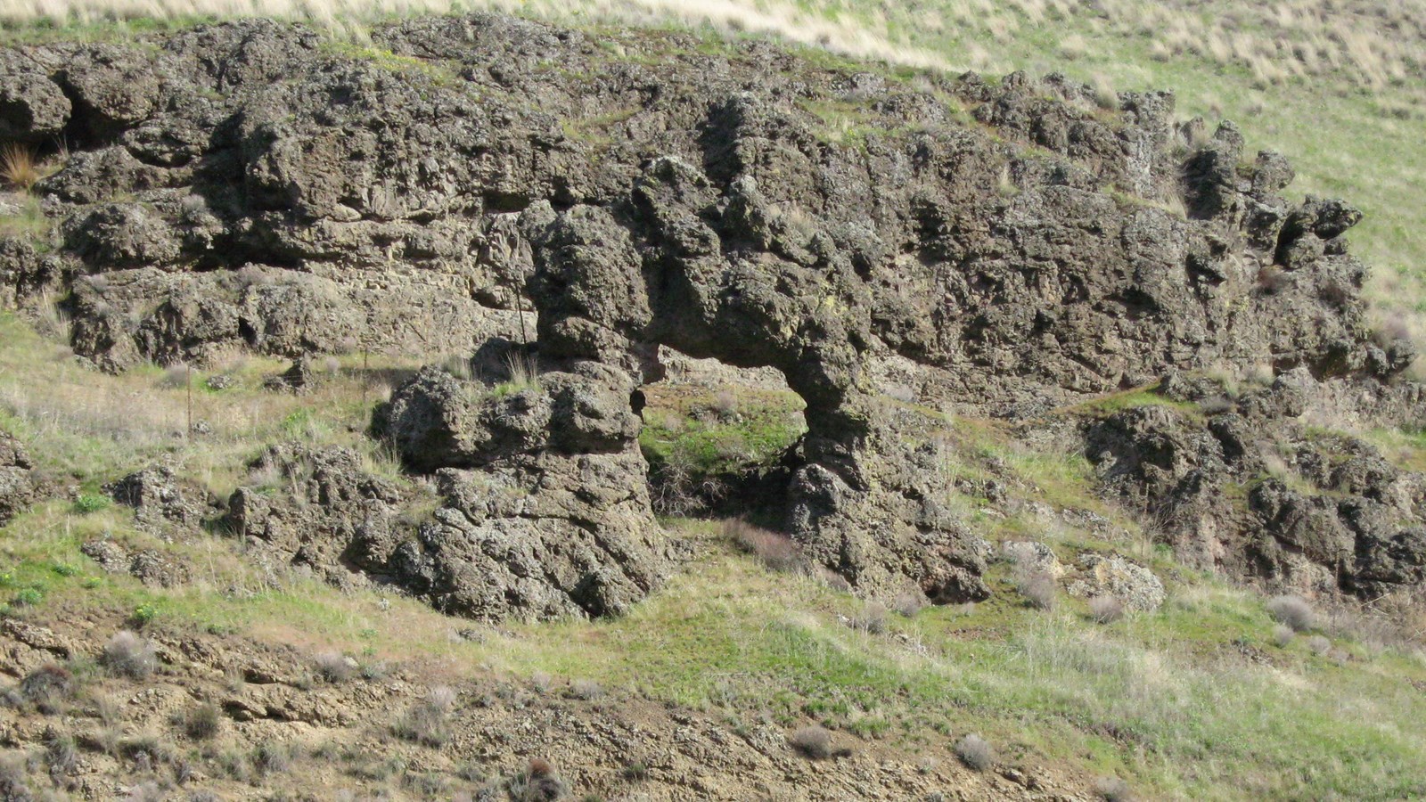 A basaltic rock arch resembles two insects locked in combat