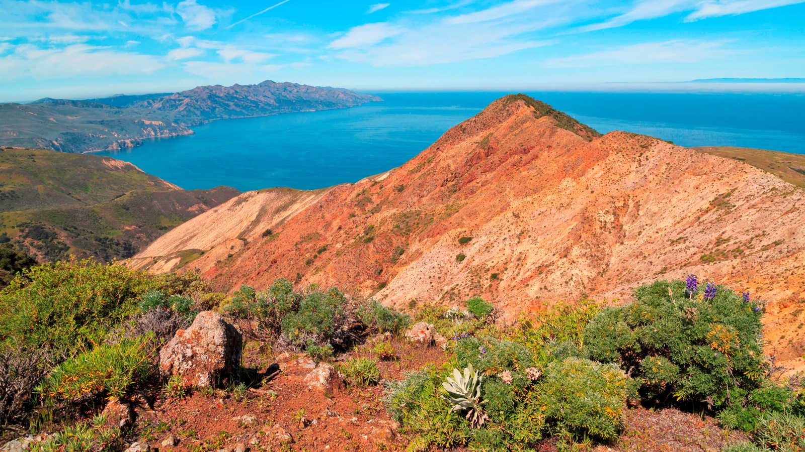 High ridge overlooking a bay and narrow island. 
