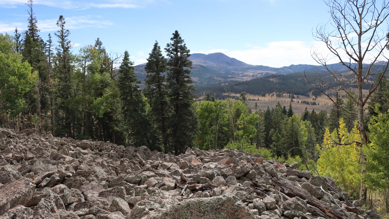 A talus slope overlooking a montane grassland and distant, forested mountains.