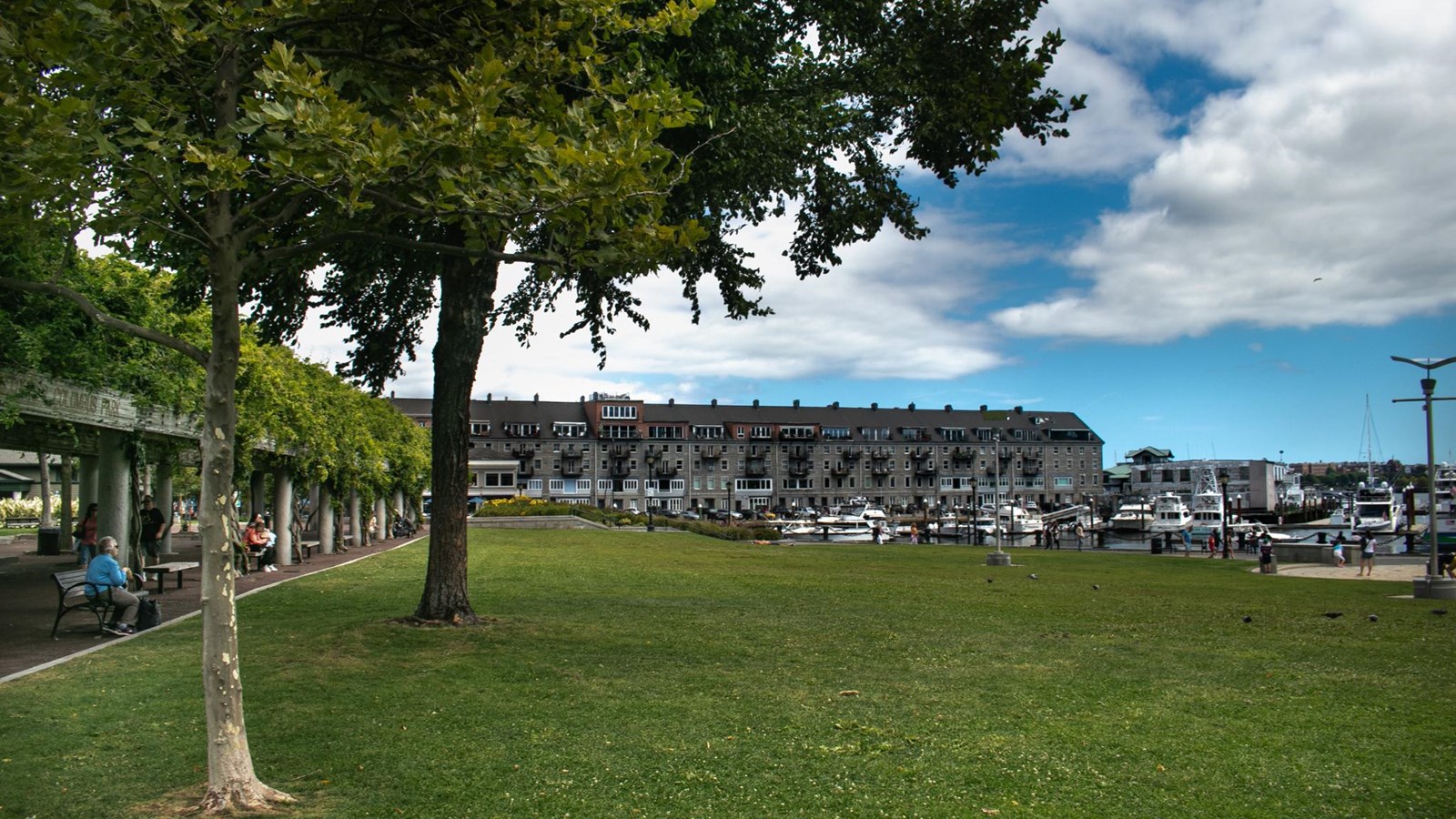 A trellis with vines runs along the side of a wide green space. The harbor and wharves line it. 