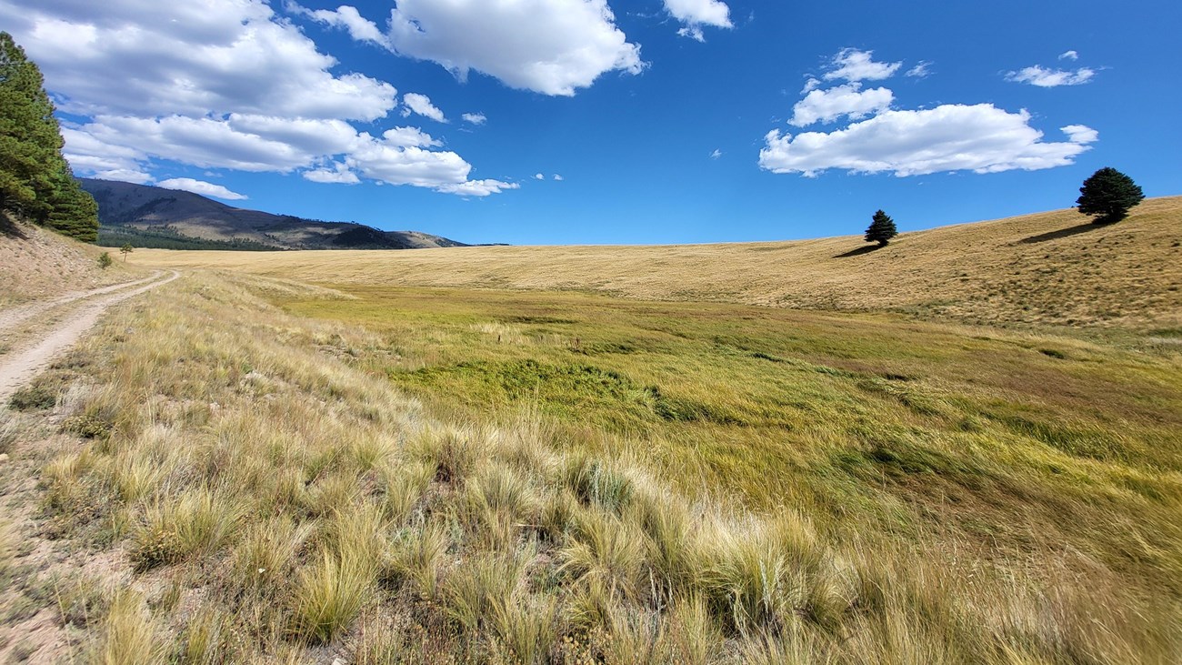 A two-track road traverses a large, golden valley surrounded by forested mountains.