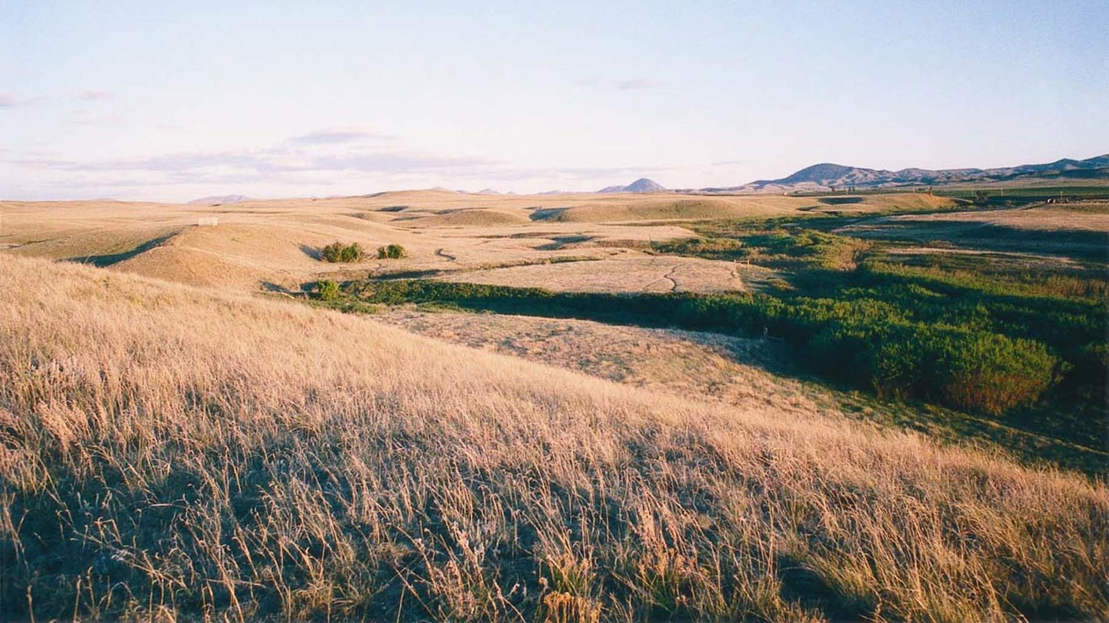 A yellow grass rolling hill with mountains in the distance and a blue near-cloudless sky