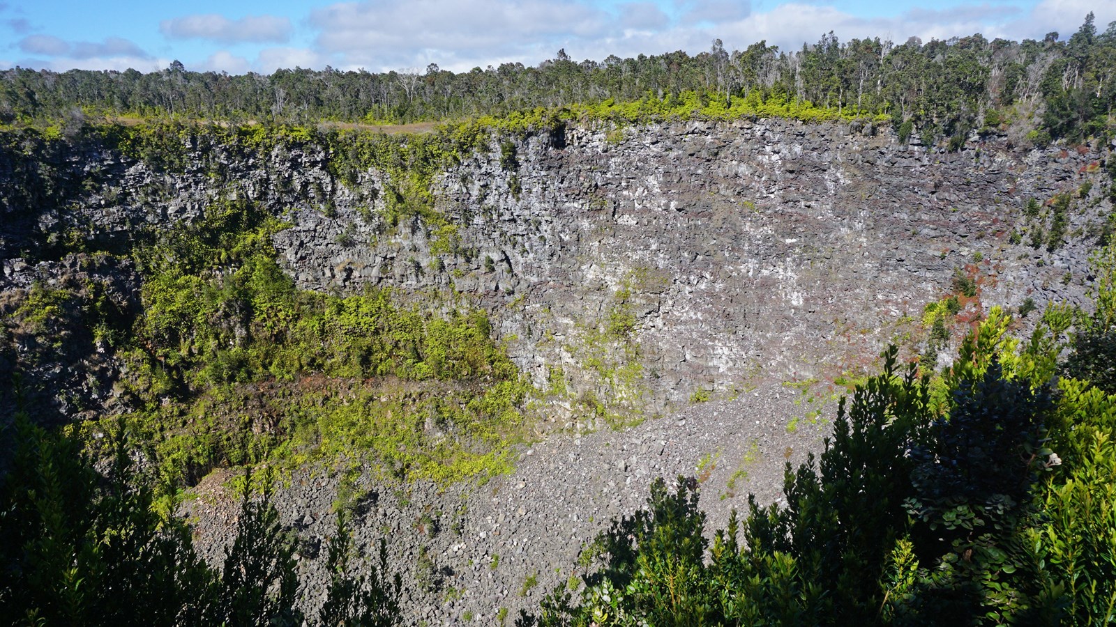 A pit crater with steep rock walls and forest on the rim