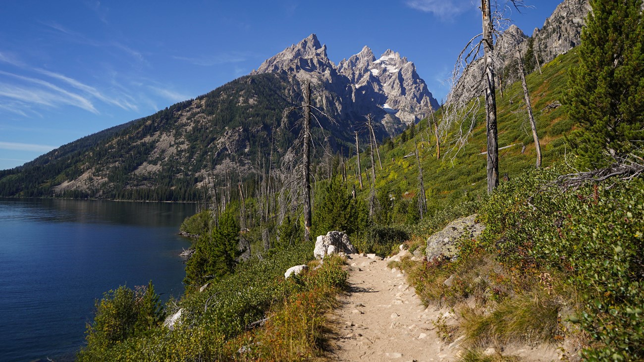 A trail travels through bushes along a lakeshore towards a mountain range.