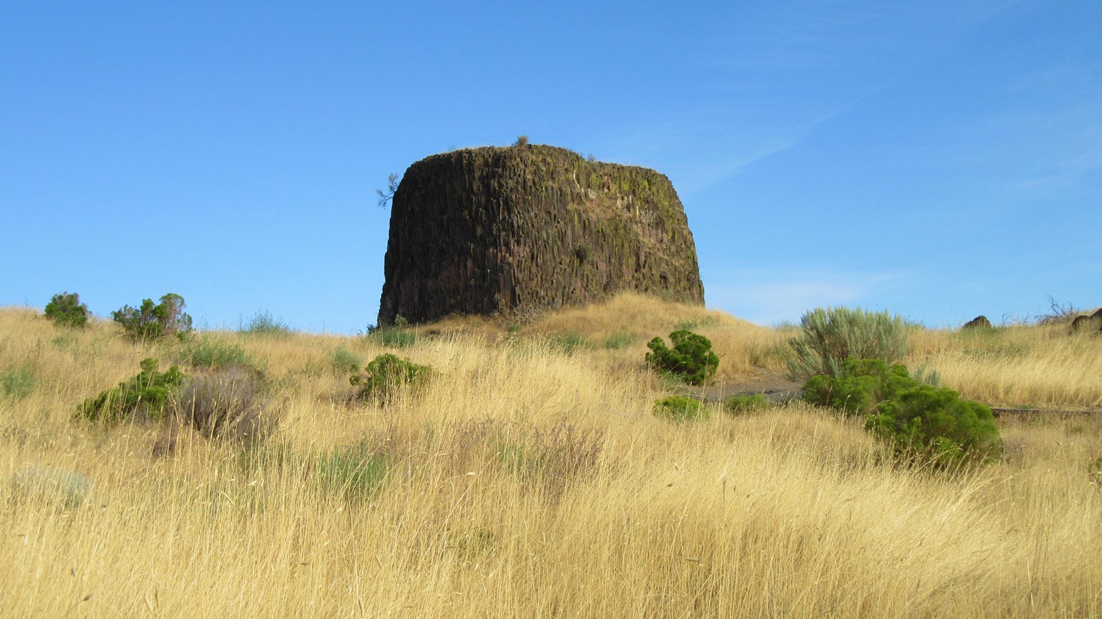 Yellow prairie grasses with large hat shaped rock in the distance