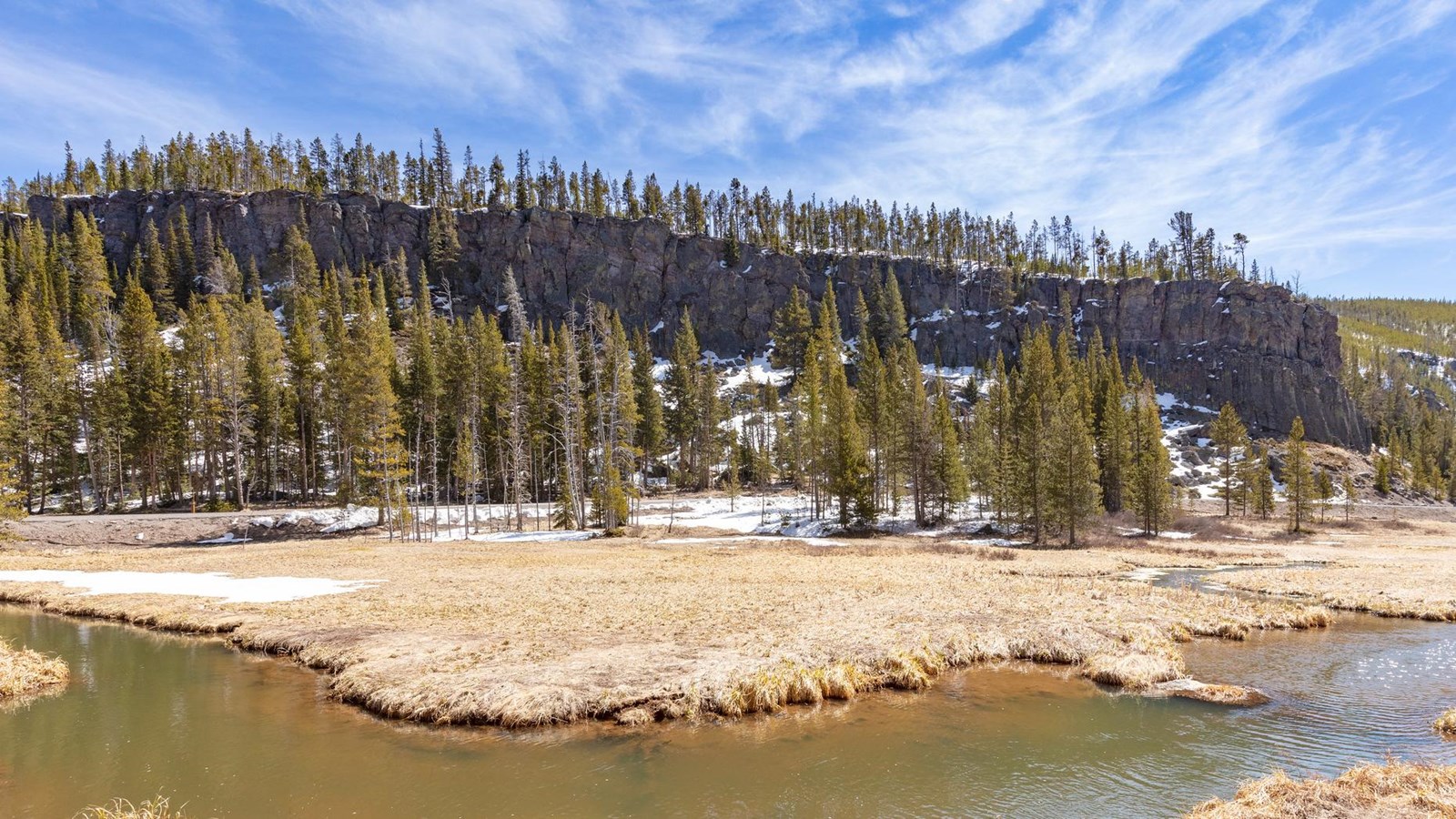 A creek runs through a meadow in front of a dark cliff band surrounded by a forest.