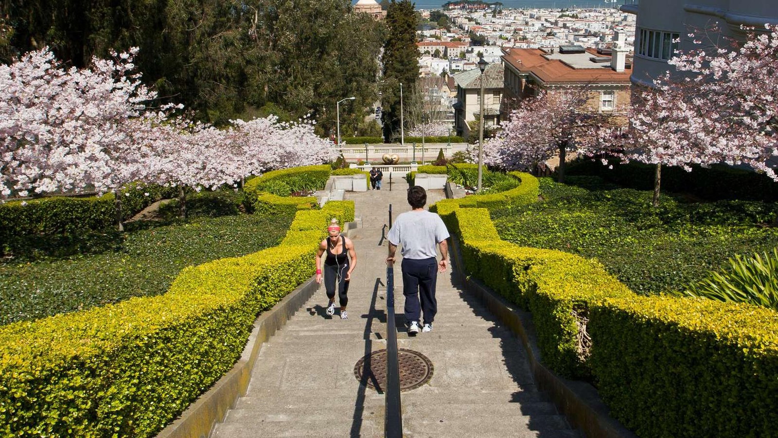  A view down the Lyon Street Steps with the bay below.