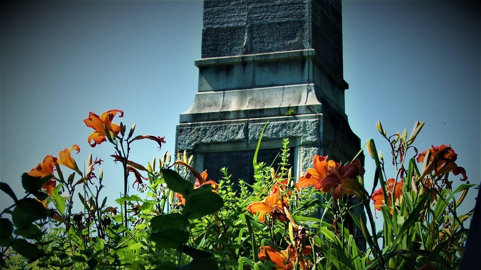 Through a clump of tiger lilies, you see a bronze plaque on a large stone surface. 