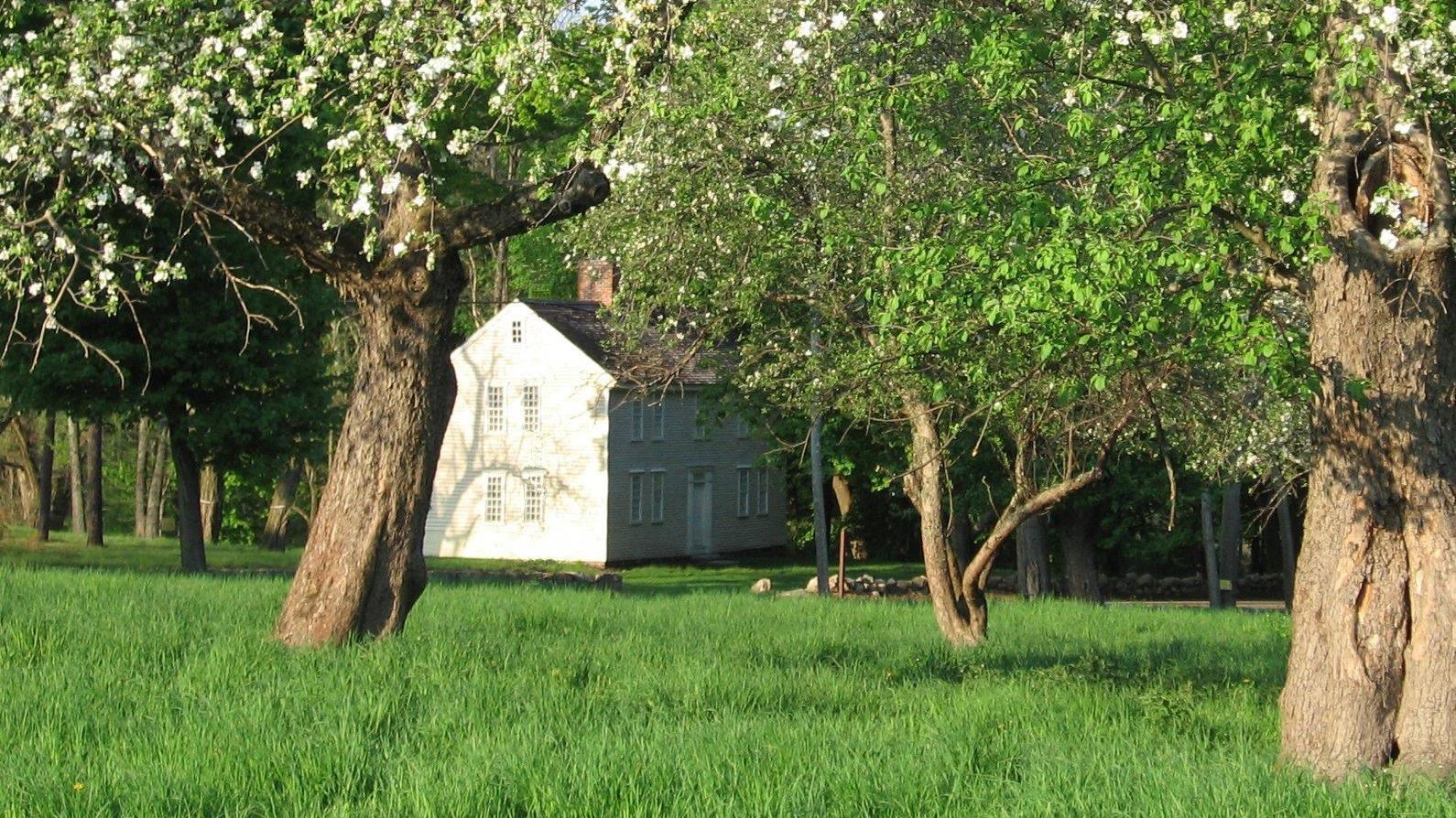 Two story wooden colonial house, pale yellow wooden siding and a central chimney. 