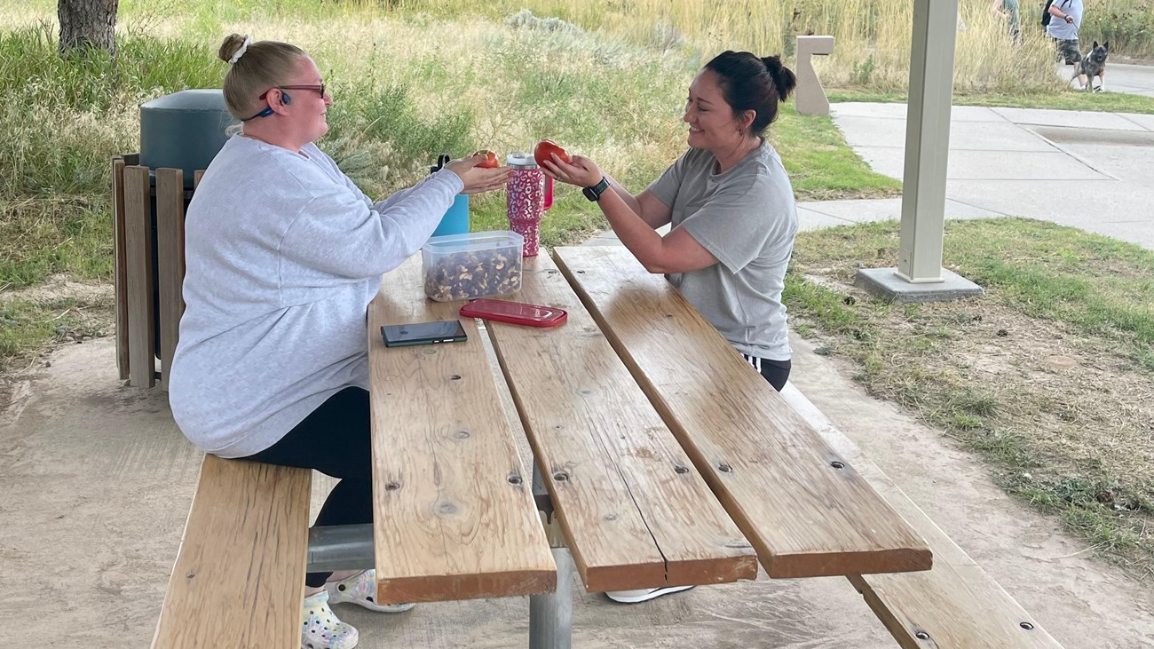 Two ladies enjoy a picnic at a picnic shelter. 
