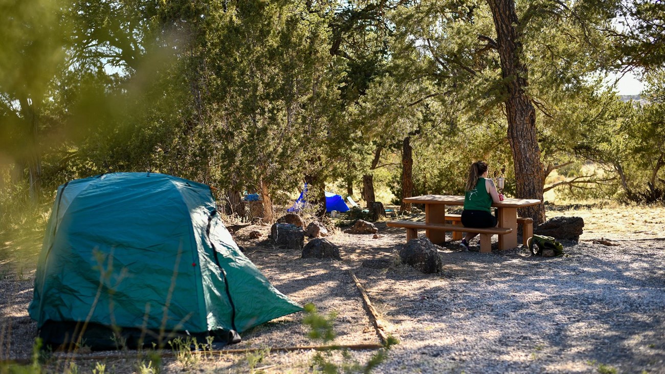 A tent set up in a campground and a person sitting at a picnic table under pine trees.