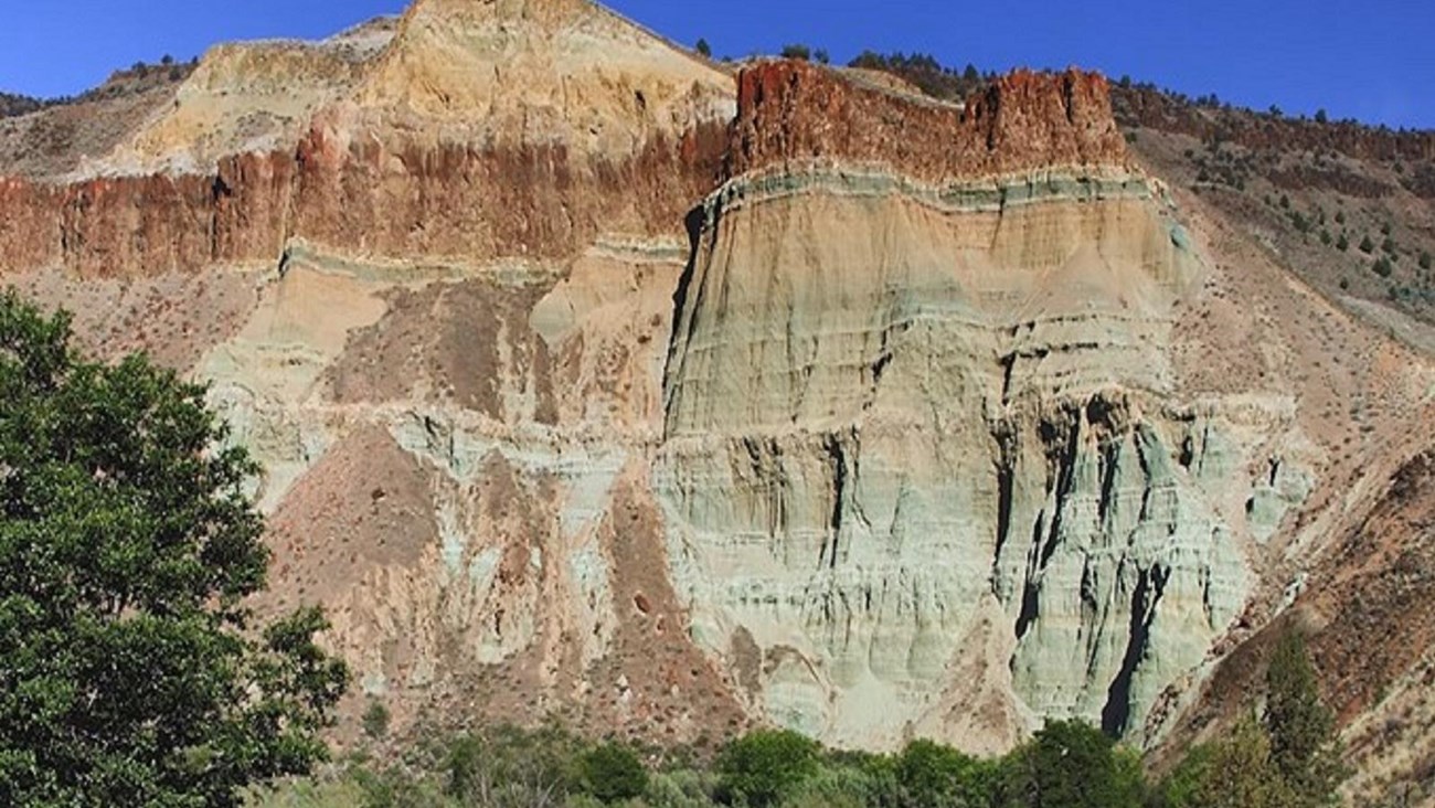 A blue-green geologic formation with green grass and a tree in the foreground.