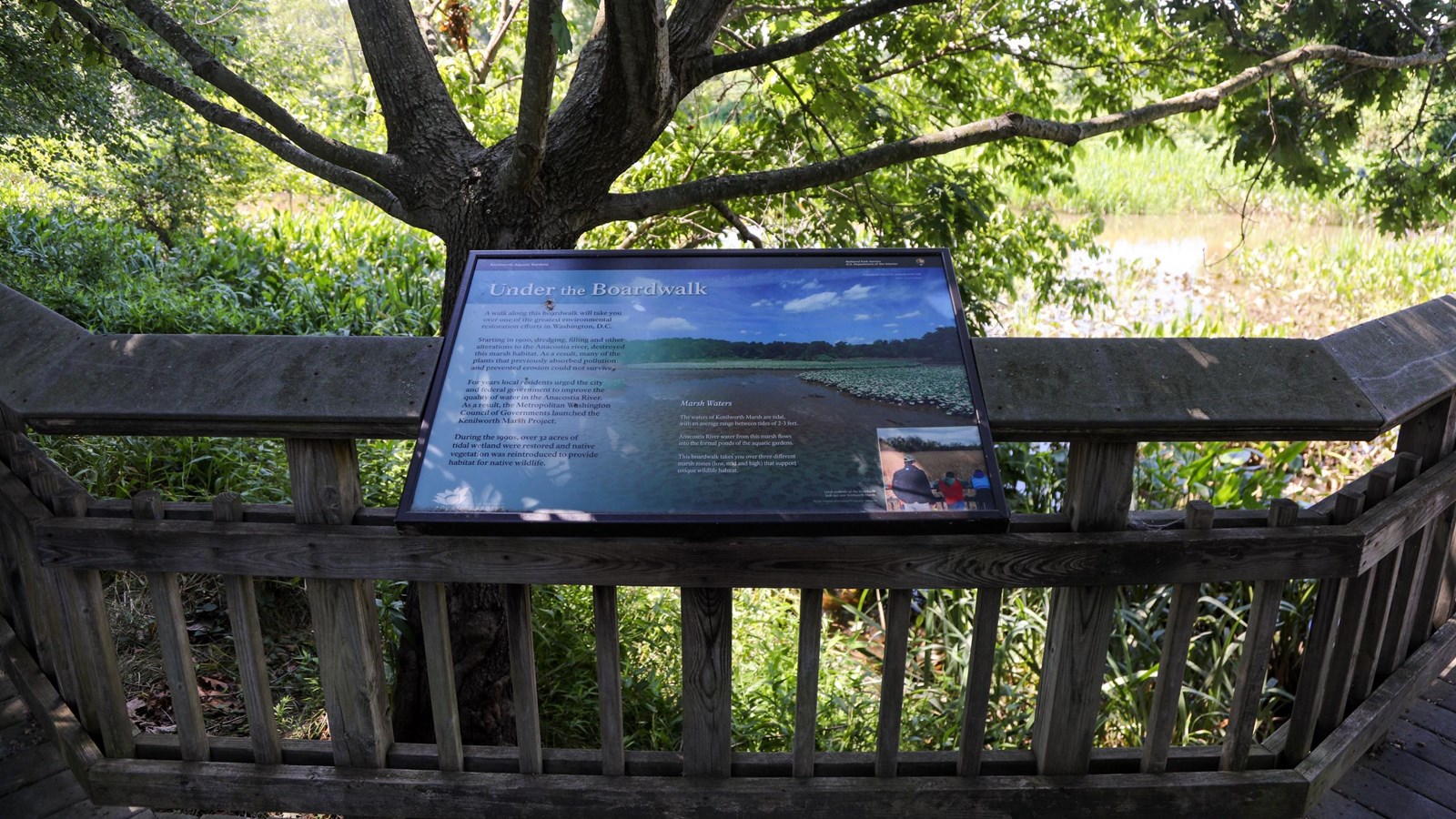 Under the Boardwalk Wayside Panel